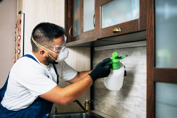 Pest Control Cost in Eagle Pass, TX