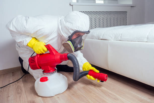Best Best Pest Control Companies  in Eagle Pass, TX