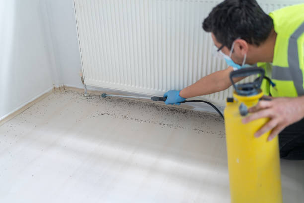 Best Pest Inspection Near Me  in Eagle Pass, TX
