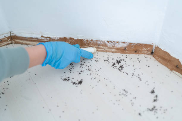 Best Exterminator Services  in Eagle Pass, TX